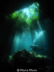 Taken in Raja Ampat with a Canon Ixus 980 (Canon Powersho... by Maria Munn 